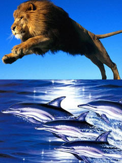 Лев и дельфины