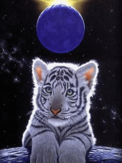 Бенгальский тигрёнок в космосе