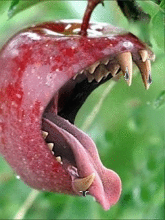 Зубастое яблоко