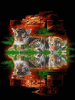Тигрята у реки