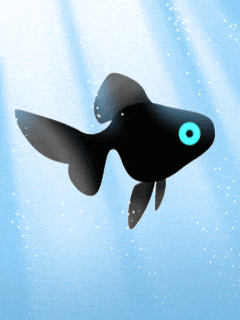Черная рыбка