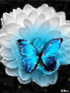 Бабочка на лотосе