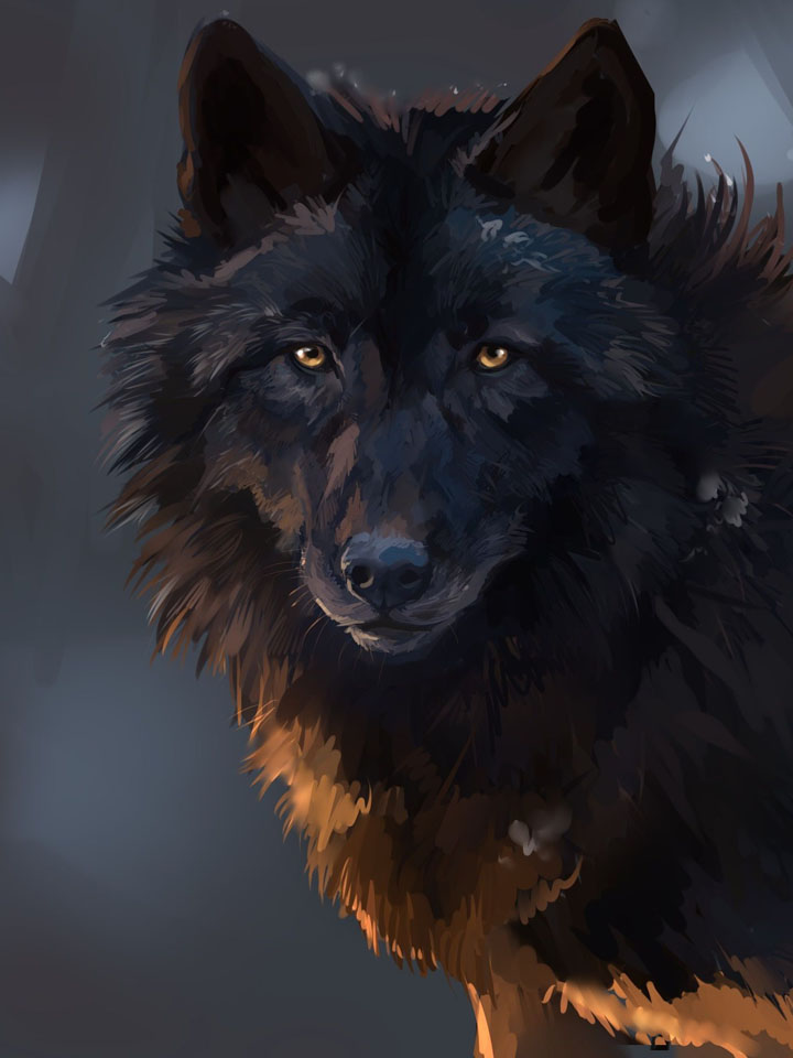 Взор черного волка