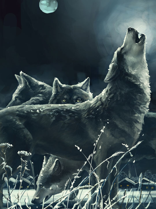 Волки, берущие след