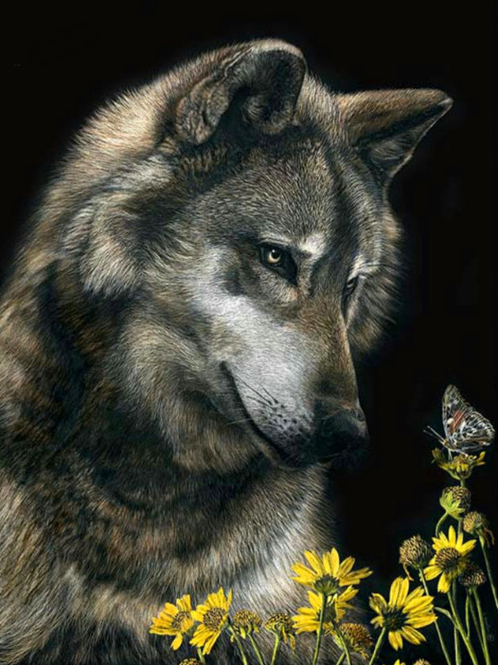 Волчица и цветы