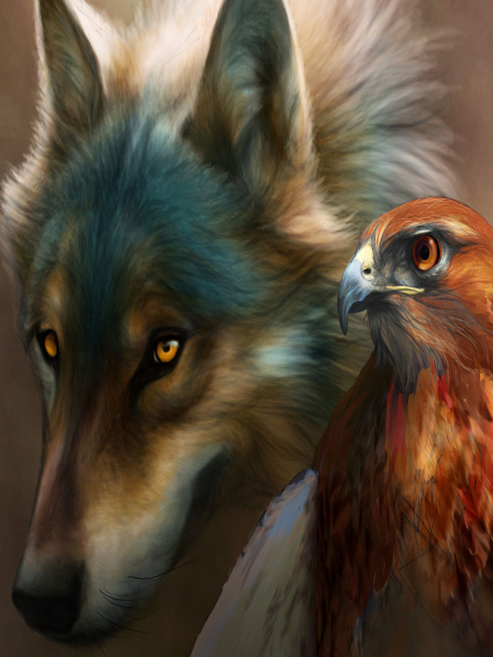 Волк и орёл