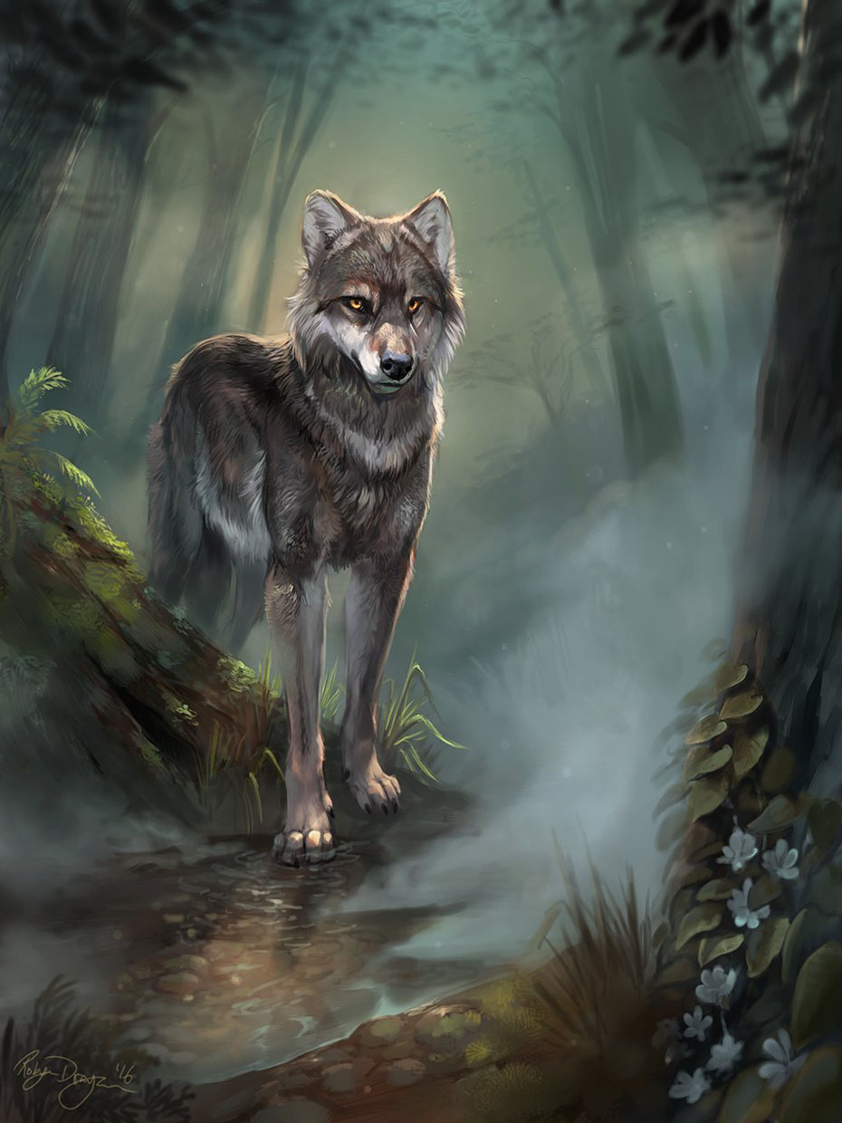 Молодой волк в лесу