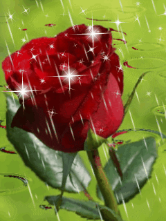 Скачать анимацию Роза и дождь из страз