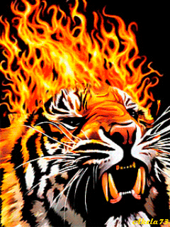 Скачать анимацию Пылающий тигр