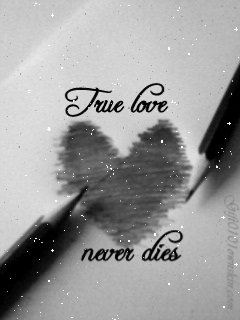 анимация True love never dies