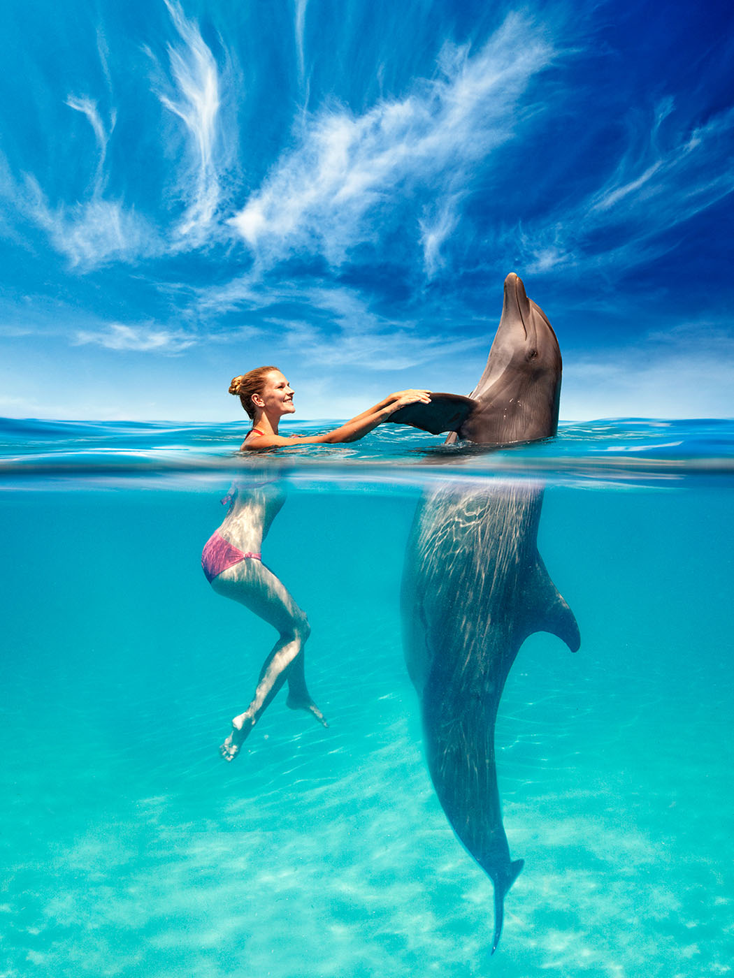 Танец с дельфином
