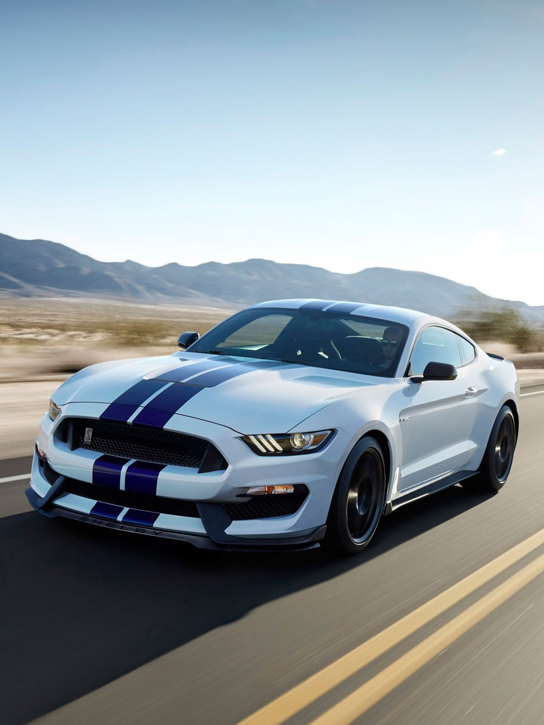 Ford Shelby на дороге