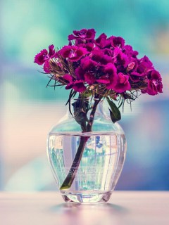 Ветка цветка в вазе