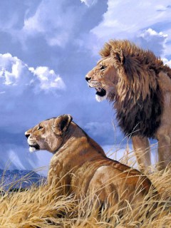 Пара, львы, насторожились