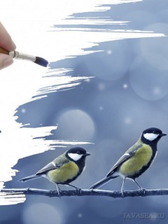 Рисую живых птиц
