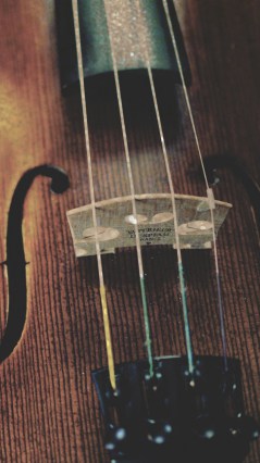 Струны скрипки