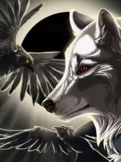 Белый волк, черная Луна и 2 ворона
