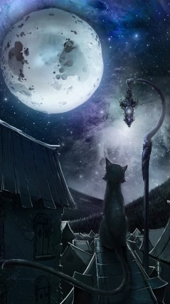 Ночь, кот, фонарь, Луна
