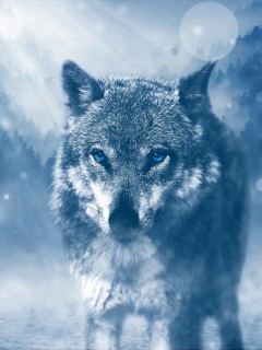 Волк в зимнем тумане