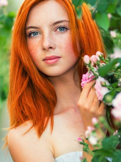 Милая, рыжая девушка у куста роз