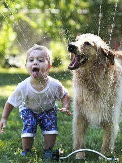 Мальчик и пёс дурачатся с водой