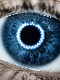 Синий глаз киборга