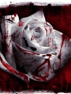 Кровавая роза