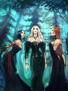 3 Ведьмы в лесу