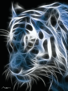 Мигающий тигр
