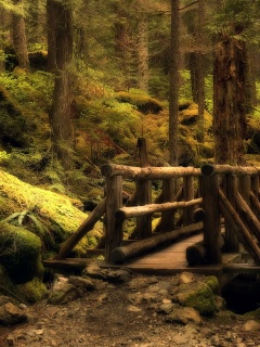 Лесной мостик