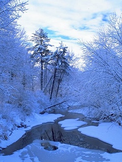 Лесной ручей зимой