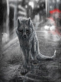 Волк в грешном городе