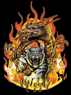 Сила тигра и дракона