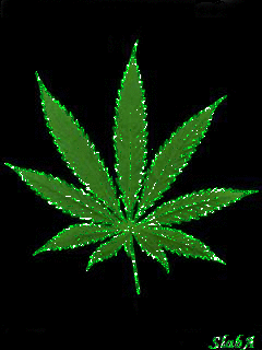 Картинка конопля большие можно есть марихуану