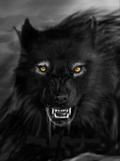 Волк-красавчик