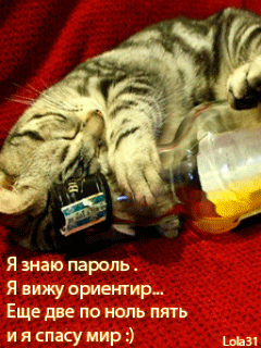 Пьяный кот, уснувший с бутылкой