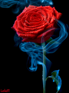 Роза в дыму