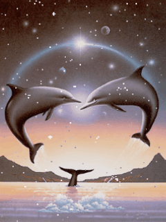 Влюбленные дельфины