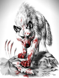 Волк в крови жертвы