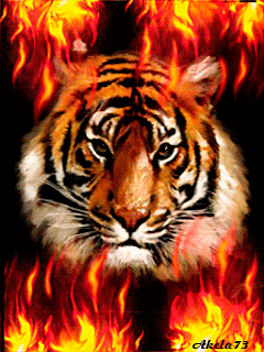 Тигр и пламя
