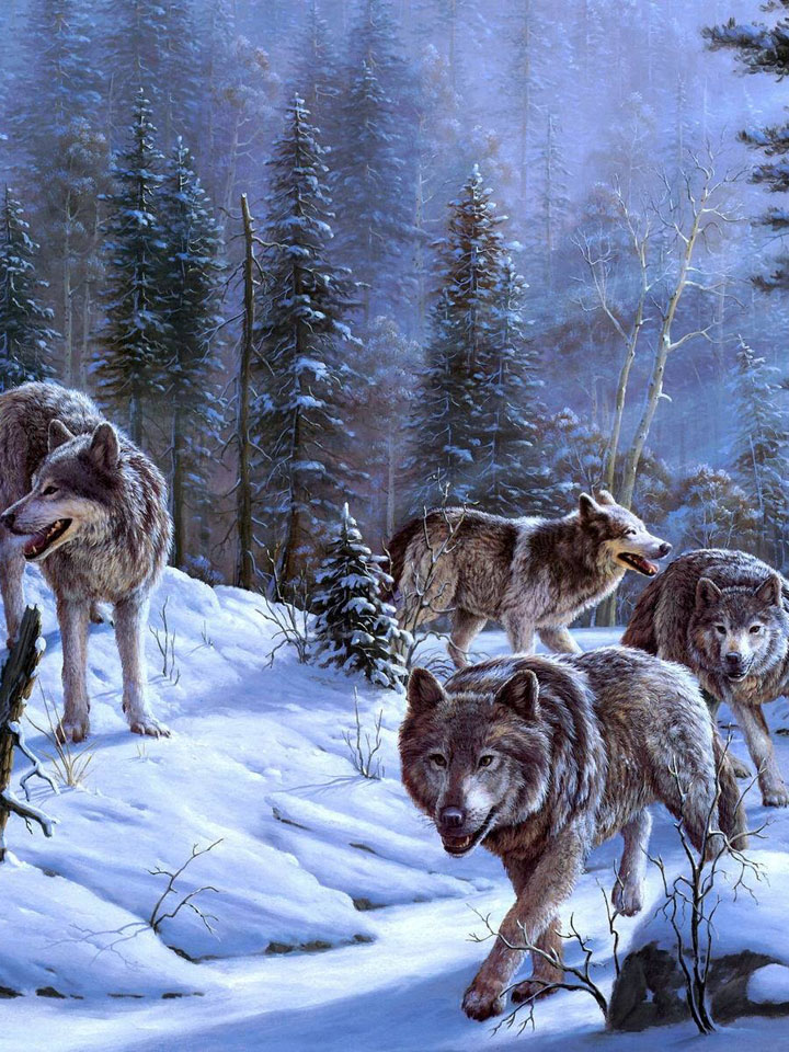 Преследующие волки
