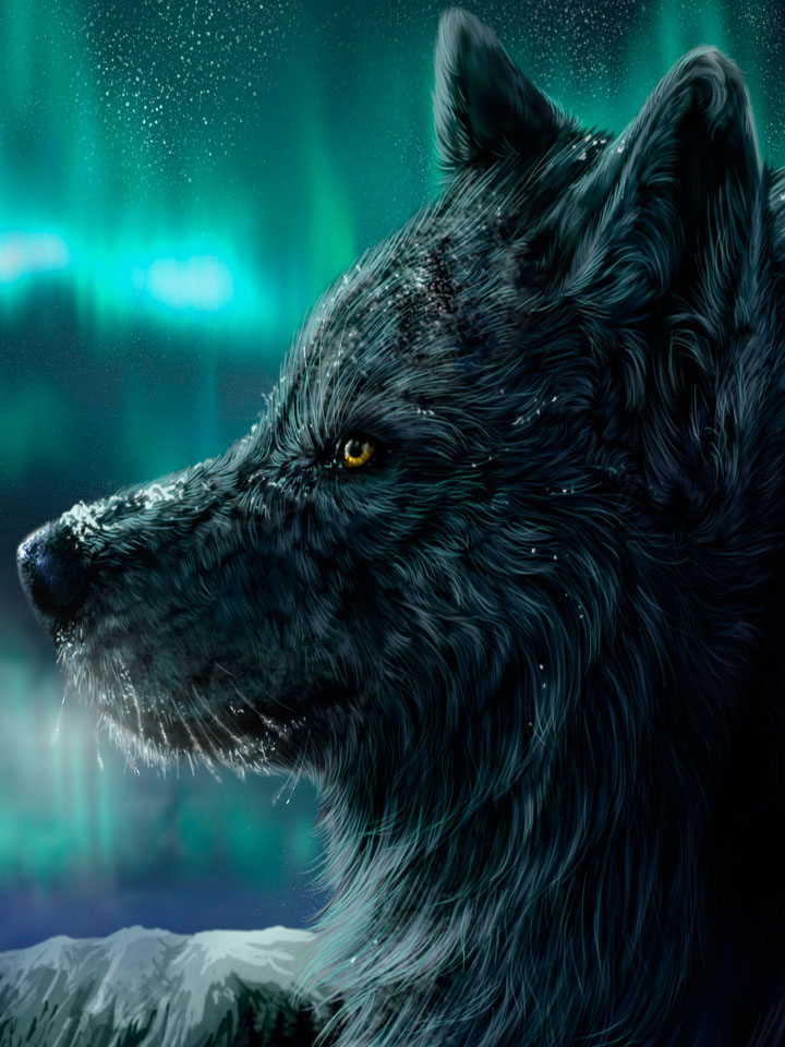 Пушистый волк