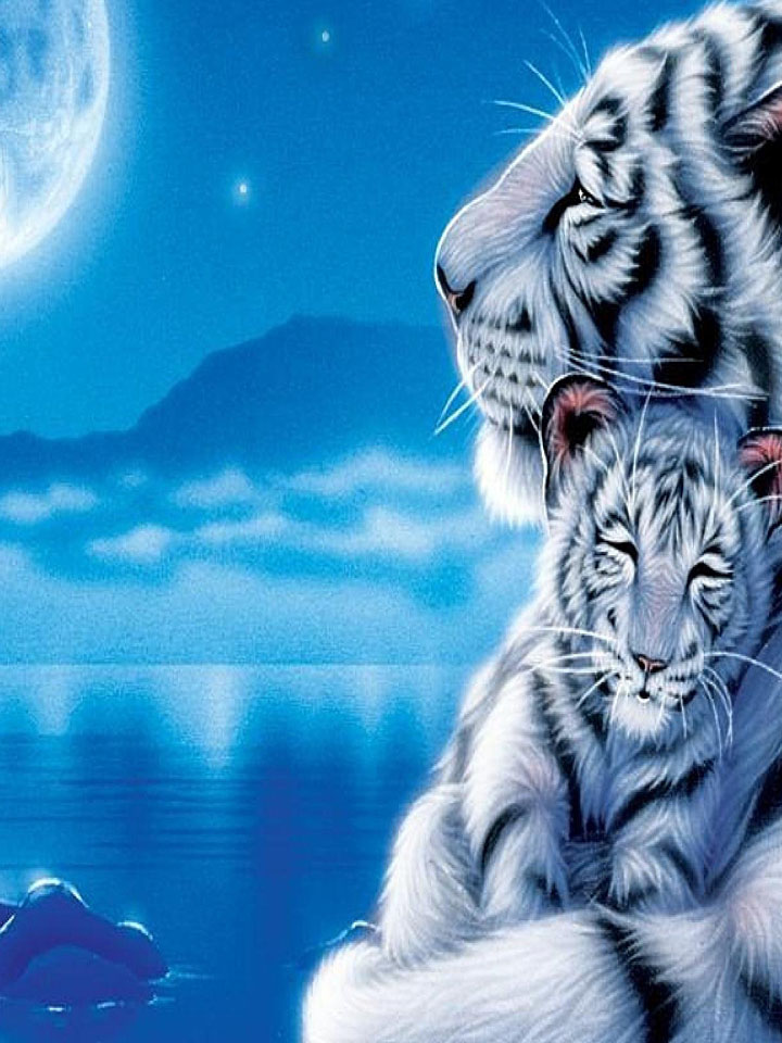 Тигрица, тигрёнок и Луна