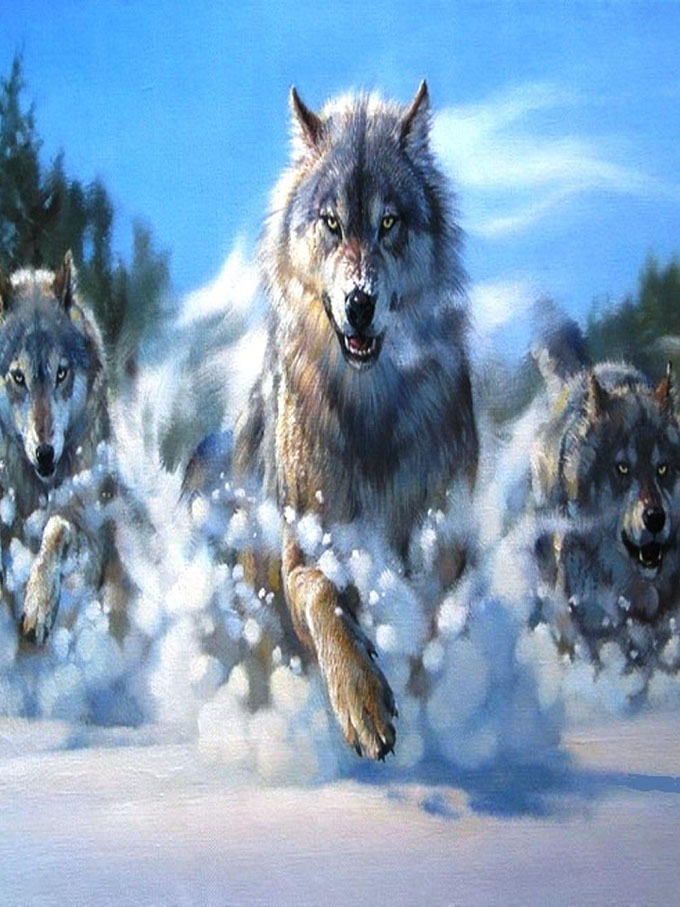 Волки в погоне