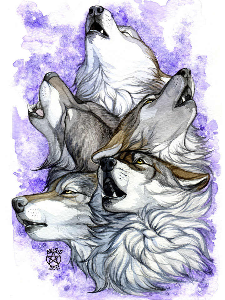 Воющие волки (рисунок)