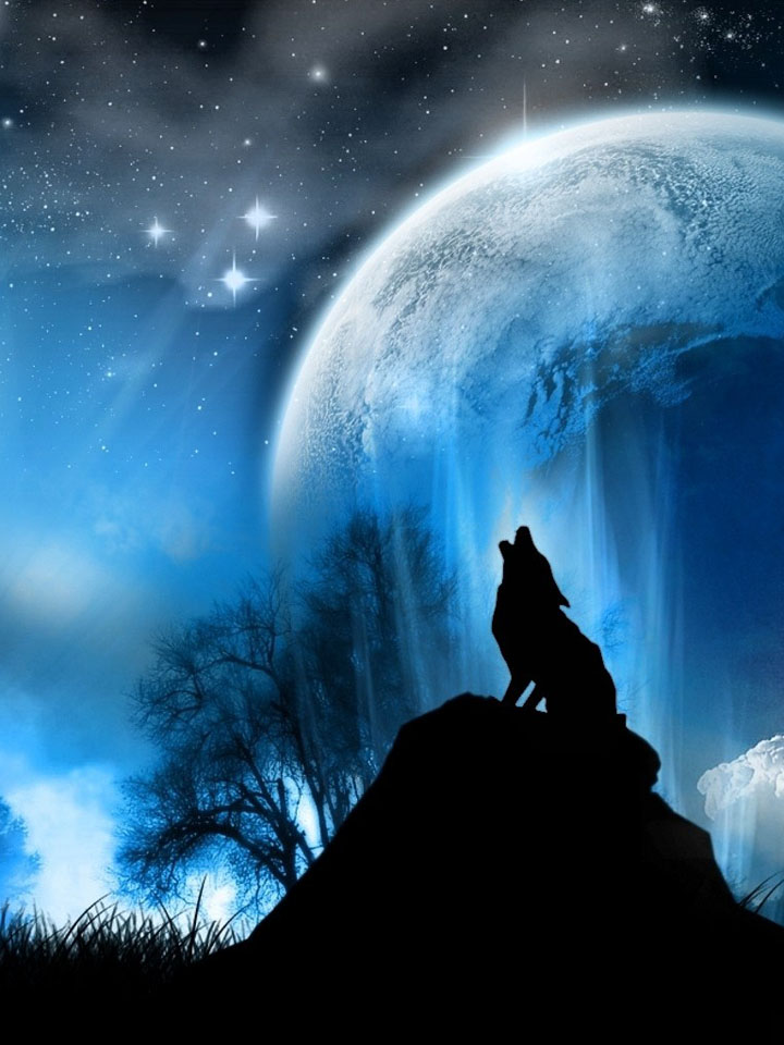 Воющий волк в фэнтези мире