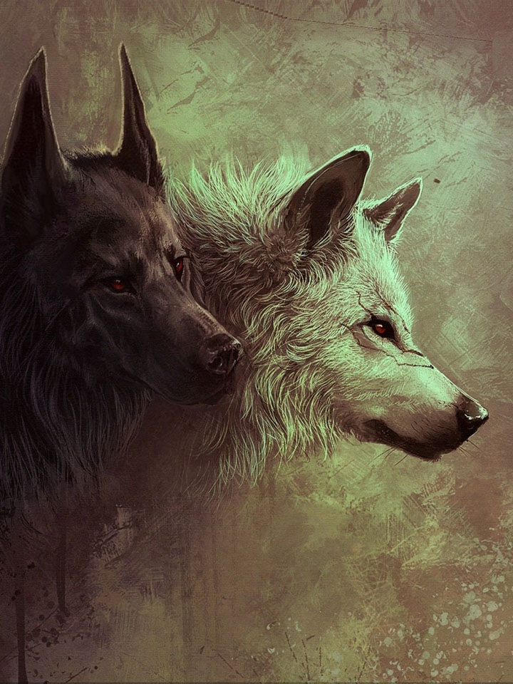Черный волк, белая волчица