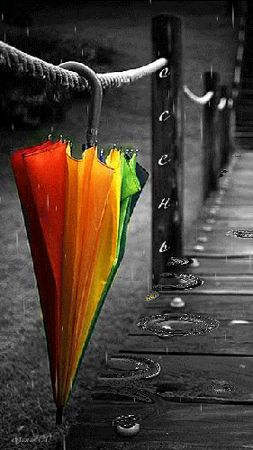 Красочный зонтик в плохую погоду