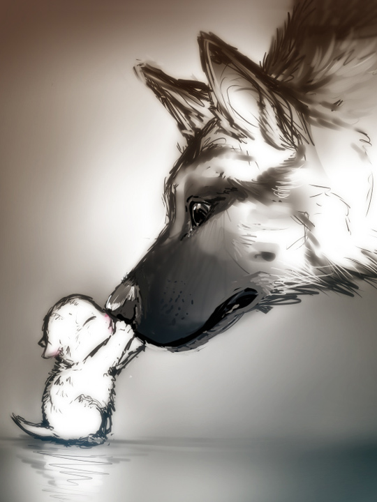 Волк и зверек