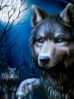 Волки и сияющая Луна